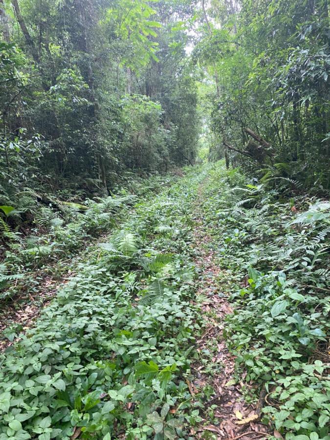 Reserva La Mision Mocona - Solo Adultos Saltos del Moconá Exteriör bild