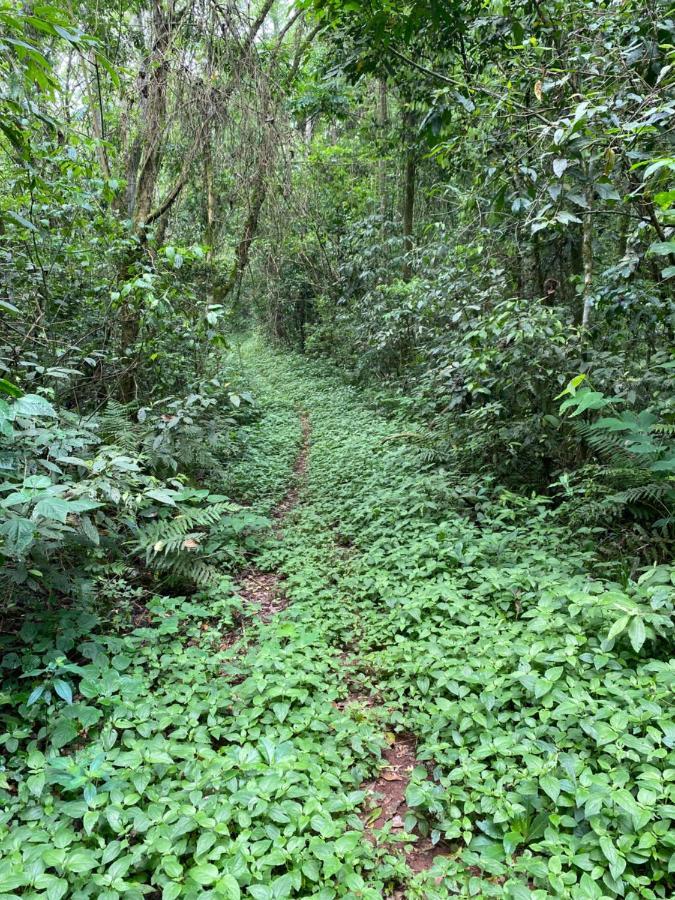 Reserva La Mision Mocona - Solo Adultos Saltos del Moconá Exteriör bild